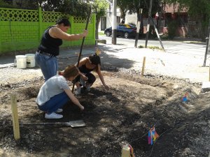 Imagen foto_00000006