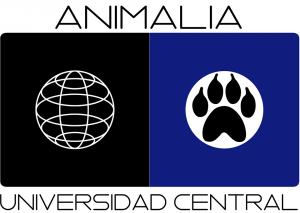 Imagen foto_00000001