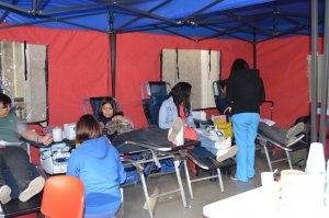 Imagen foto_00000004