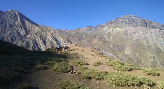 Imagen foto_00000002