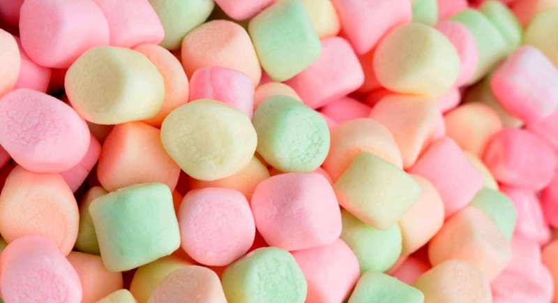 FAUP organiza conversatorio para abordar las habilidades blandas en la formación del arquitecto