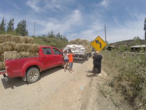 Imagen foto_00000005