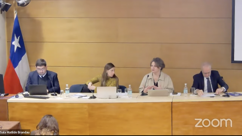 Directora del Magíster en Derecho Público expone en Jornadas del Proceso Constitucional