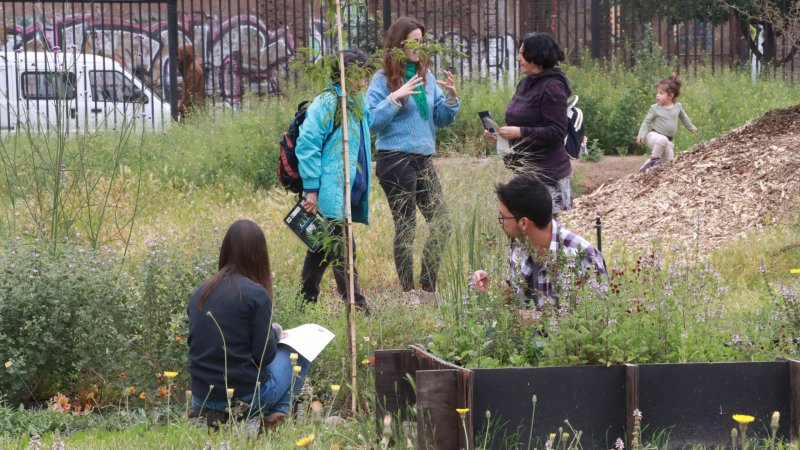 FINARQ y Gobierno de Santiago presentan resultados de estudio de Jardines Sostenibles para la Región Metropolitana