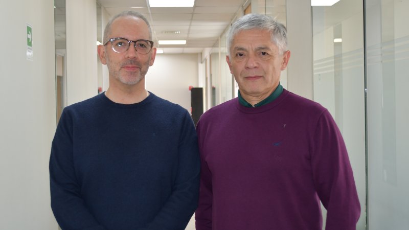 Destacada Revista científica publica pionero estudio sobre alta sensibilidad sensorial realizado por Investigadores de la U. Central