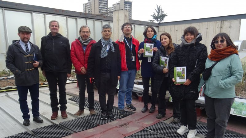 Profesionales de diversas entidades visitan el Techo Verde para conocer más sobre esa experiencia y la elección de plantas nativas