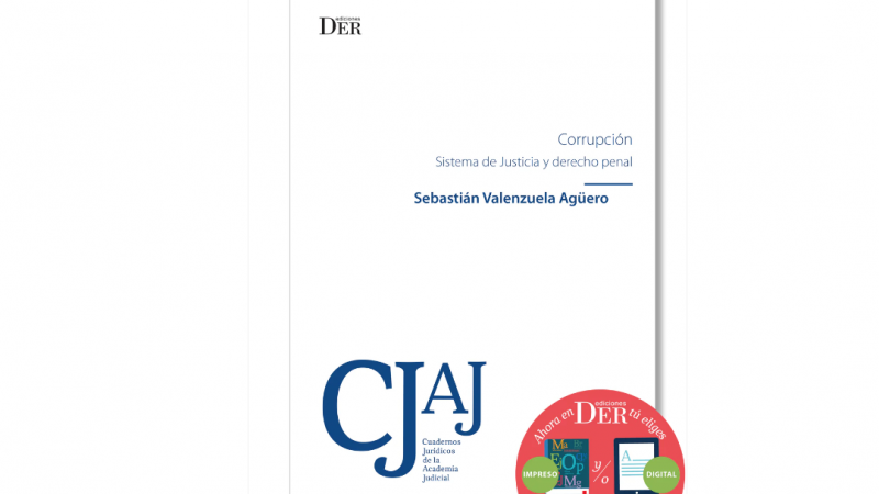 Docente de Derecho Penal publicó libro sobre corrupción