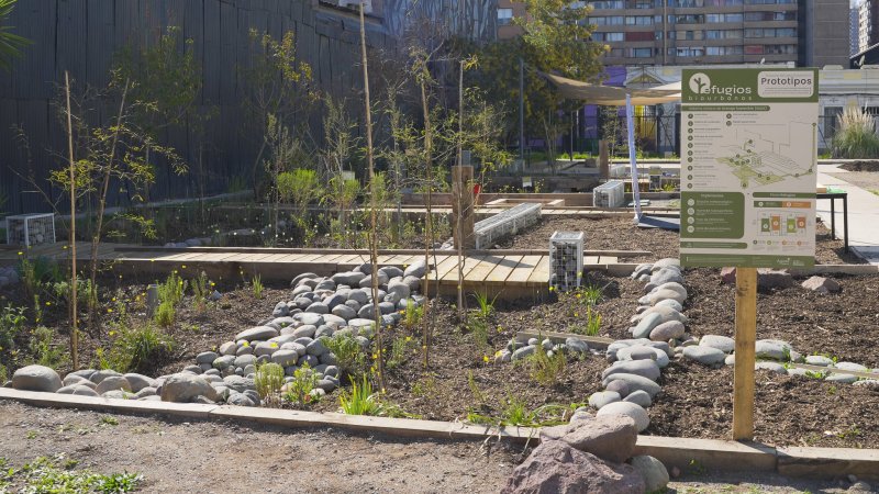 Refugios Biourbanos aprovechan las lluvias y mitigan el calor en la ciudad usando la inteligencia de la naturaleza