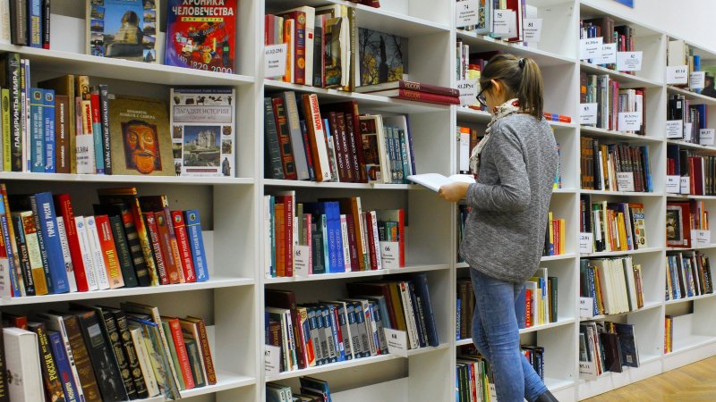 Publicación del director de la Fegoc, Dr. Luis Roman Palma, analizó los estilos de aprendizaje en estudiantes de Contaduría Pública